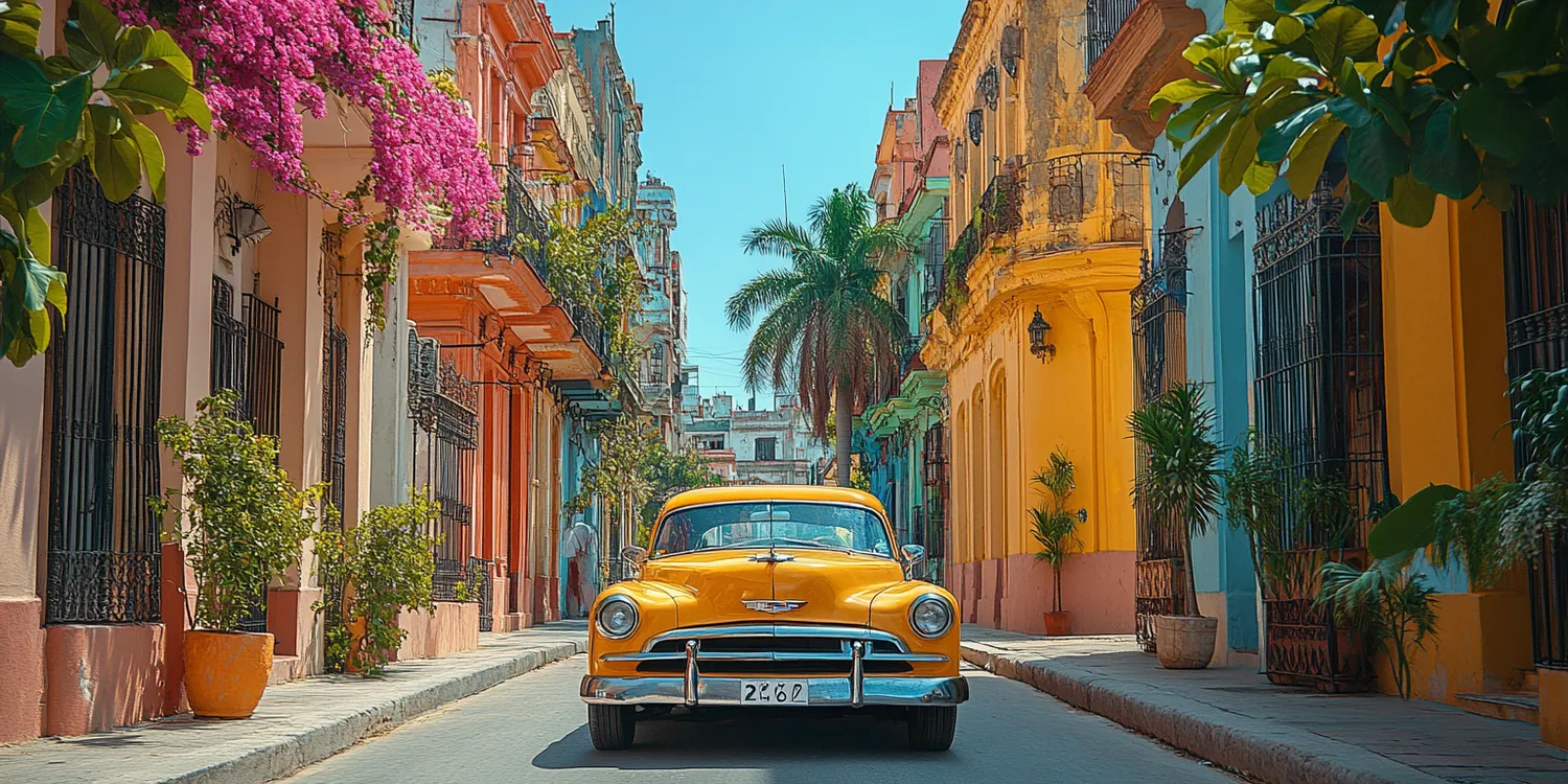 Przewodnik turystyczny - jakie studia?