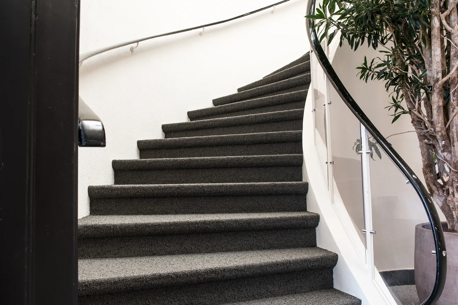 Zanim wypierzesz dywan lub wykładzinę